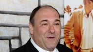 James Gandolfini plays Tony Soprano (Image via Getty)